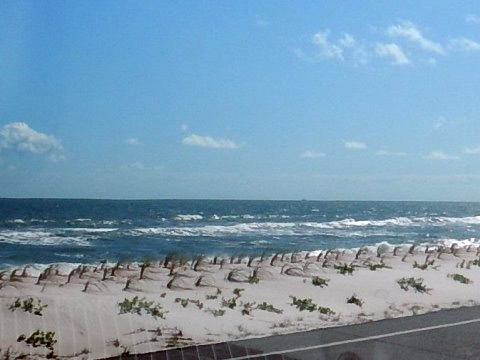 Flagler County Trail