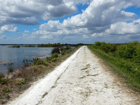 Lake Apopka North Shore Loop Trail