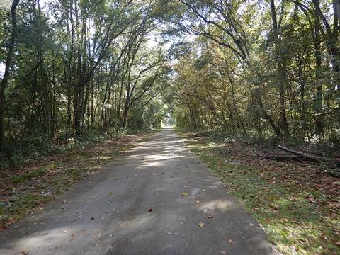 Florida Bike Trails, Nature Coast State Trail