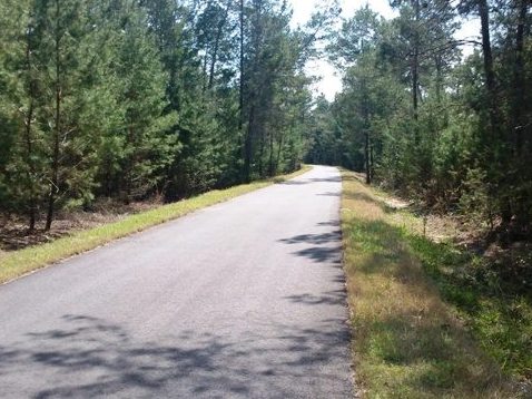 Florida Bike Trails, Palatka-Lake Butler State Trail