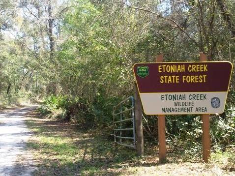 Florida Bike Trails, Palatka-Lake Butler State Trail