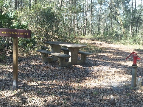 Florida Bike Trails, Palatka-Lake Butler State Trail