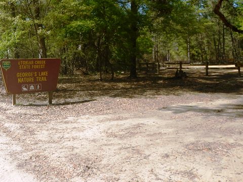 Florida Bike Trails, Palatka-Lake Butler State Trail