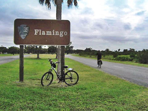 Flamingo, Everglades National Park