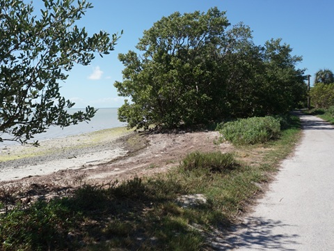 Everglades, Flamingo, Guy Bradley Trail