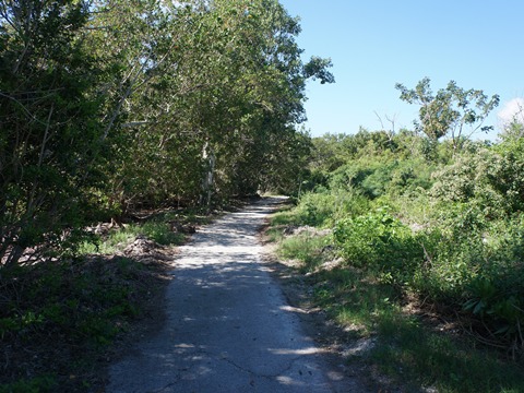 Everglades, Flamingo, Guy Bradley Trail