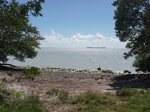 Everglades, Flamingo, Guy Bradley Trail
