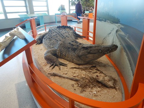 Everglades, Flamingo Visitor Center