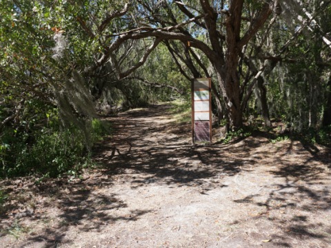 Everglades, Flamingo Visitor Center