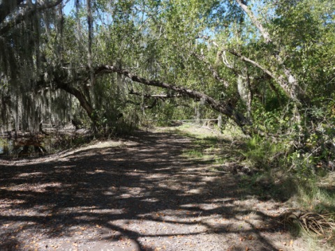 Everglades, Flamingo Visitor Center
