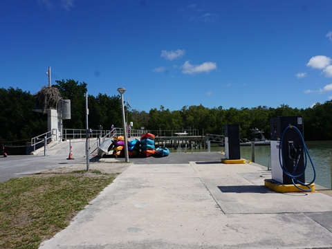 Everglades, Flamingo Visitor Center