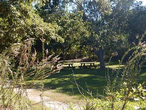 Pine Island Trail