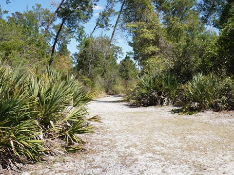 Florida Bike Trails, Coastal Anclote Trail