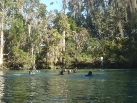 Florida Bike Trails, Crystal River