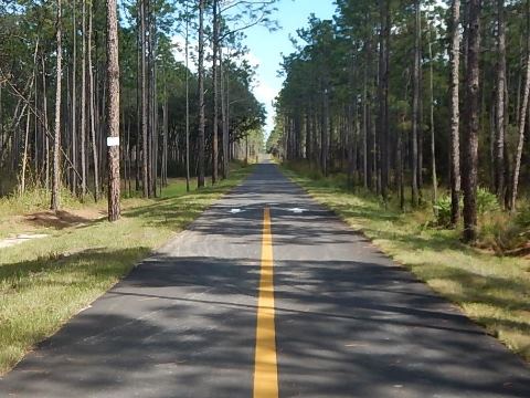 Florida Bike Trails, Good Neighbor Trail