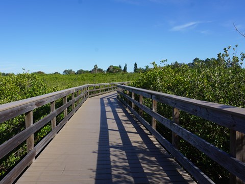 Florida Bike Trails, Oldsmar Trail