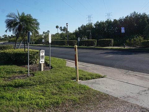 Florida Bike Trails, Oldsmar Trail, Mobbly Beach