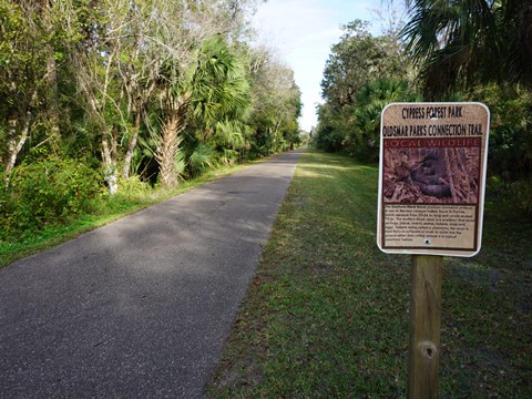 Florida Bike Trails, Oldsmar Trail, Cypress Forest Park