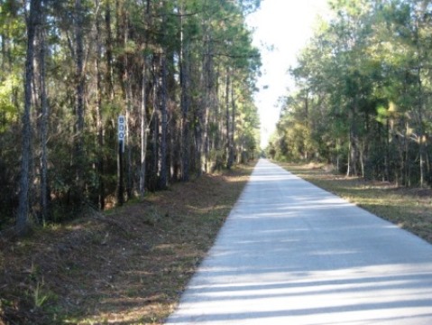 Van Fleet State Trail, Green Pond to Bay Lake