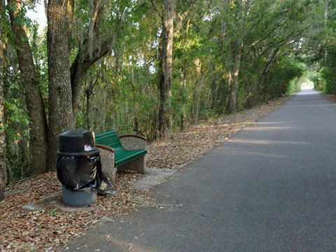 Van Fleet State Trail, wildlife